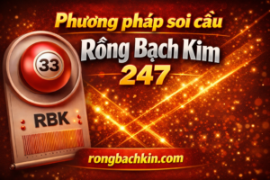 Rồng bạch kim 247