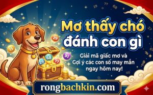 Mơ Thấy Chó Đánh Con Gì?