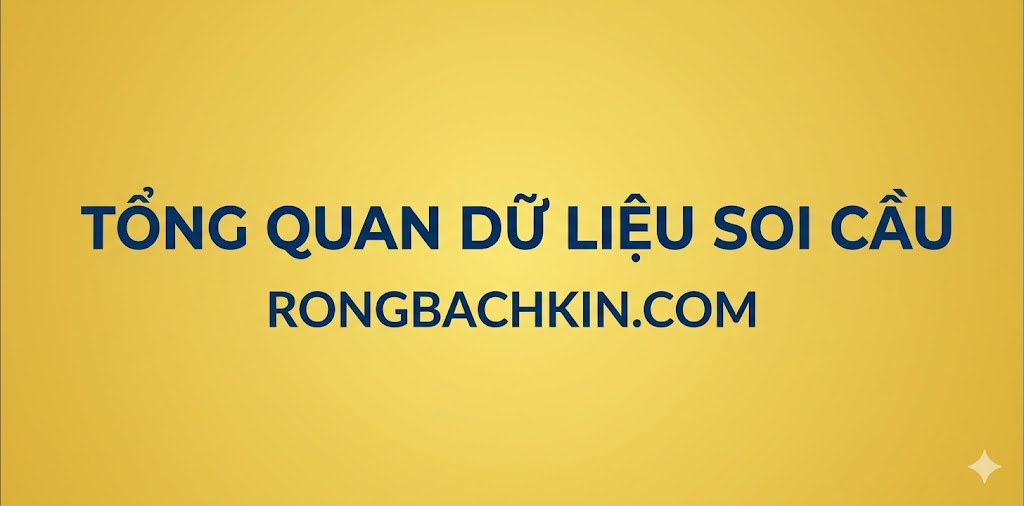 Tổng quan dữ liệu soi cầu rồng bạch kim